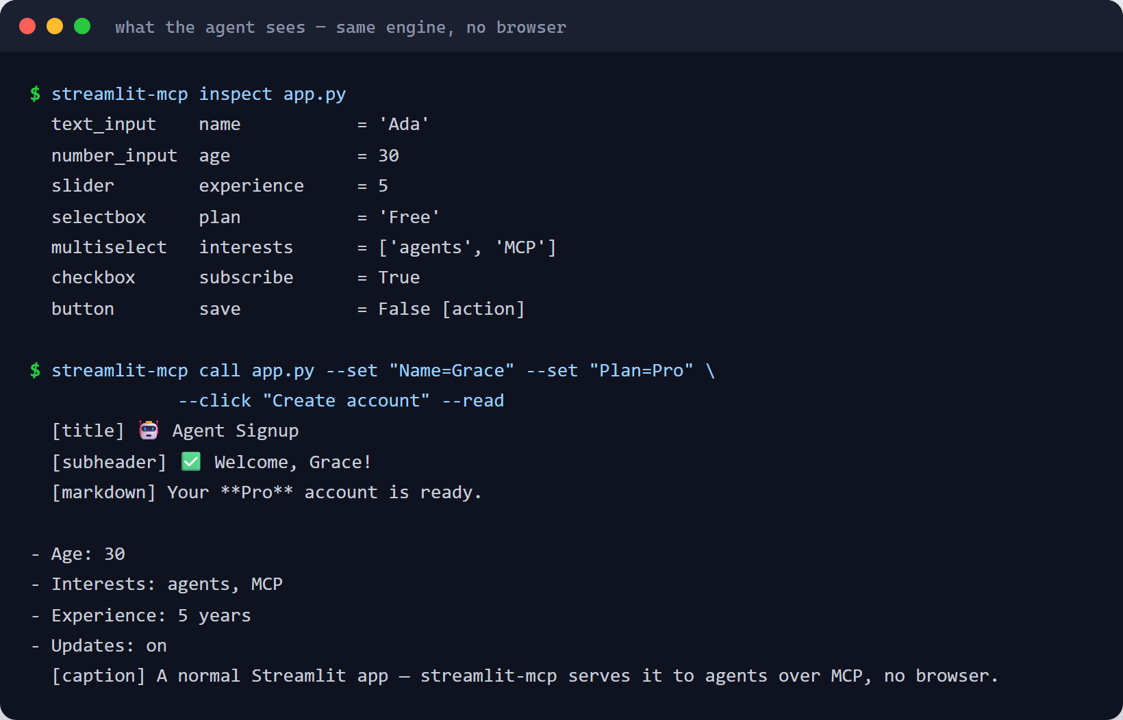 The streamlit-mcp CLI introspecting and driving the app